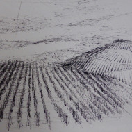 oberrhein 2020  tusche auf papier  20cm x 20 cm  